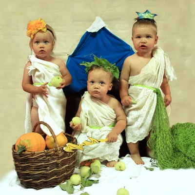 Мэр Бишкека подарил 90 тысяч сомов семье, где родились тройняшки (фото) -  Вести.kg - Новости Кыргызстана