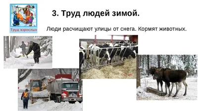 Как живут в Якутии во время экстремальных морозов — Сноб