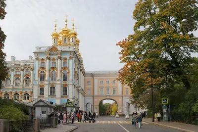 Как в Петербурге могут возродить Царскосельский лицей - Российская газета