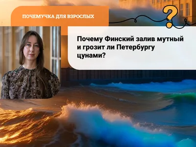 Цунами» за 200 ₽ – купить за 200 ₽ в интернет-магазине «Книжки с Картинками»