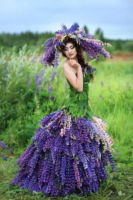 Люпин Обелиск (семена,цветы) купить по цене 149 ₽ в интернет-магазине  KazanExpress