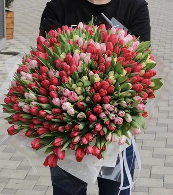 Букет из 15 тюльпанов одного цвета (цвет в ассортименте!) - купить в  Челябинске