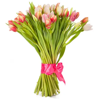 Купить Букет цветов тюльпаны оранжевые силиконовые 5 шт по выгодной цене в  интернет-магазине OZON.ru (803350382)