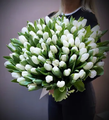 Тюльпаны | Tulips flowers, Beautiful bouquet of flowers, Boquette flowers