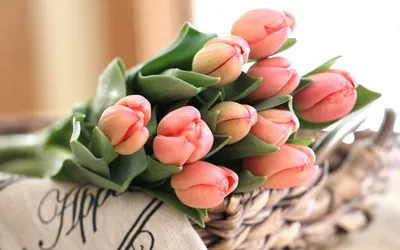 Букет цветов — тюльпаны (55 шт). Купить. Магазин «Цветочное изобилие»