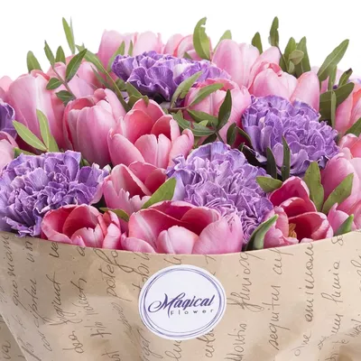 Картинки цветов тюльпаны фотографии