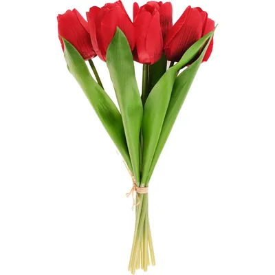Цветы Тюльпаны Букет - Бесплатное фото на Pixabay - Pixabay