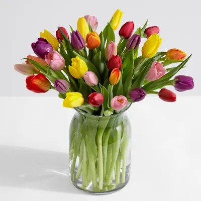 Цветы тюльпаны онромный букет, на …» — создано в Шедевруме