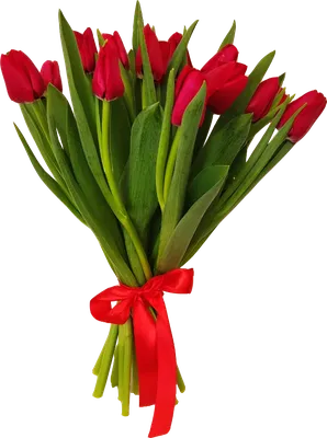 Заказать большой букет цветов тюльпаны FL-2302 купить - хорошая цена на  большой букет цветов тюльпаны с доставкой - FLORAN.com.ua