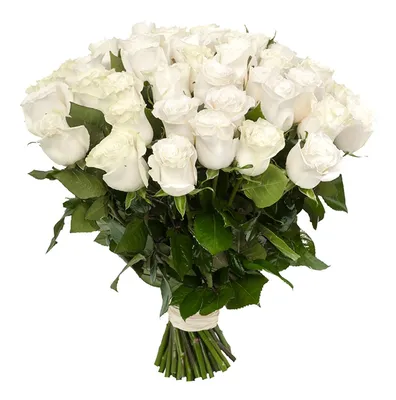 К чему дарят белые розы: приметы, символизм и история