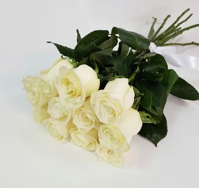 73 белые розы (60 см) – купить оптом и в розницу в Москве и Московской  области – Городская База Цветов