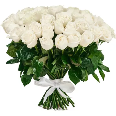 Элитные белые розы: цена, заказать с доставкой по Великом Устюге в  интернет-магазине Cyber Flora®