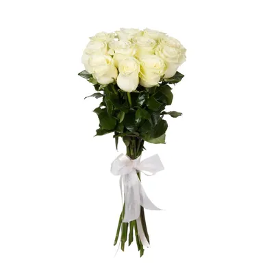 Купить белые розы с доставкой в Комсомольске-на-Амуре ❤ Azeriflores.ru —  Комсомольск-на-Амуре