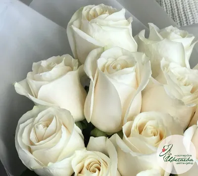 В каких случаях дарят белые розы | Flowwow
