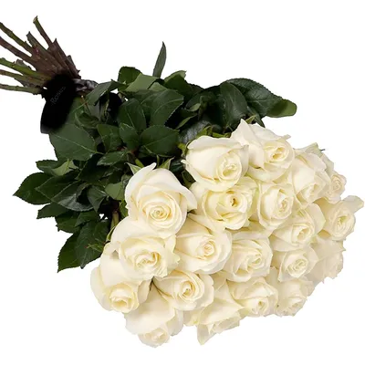 Букет \"Из белых роз 80 см под ленту\" с доставкой в Москве — Фло-Алло.Ру,  свежие цветы с бесплатной доставкой