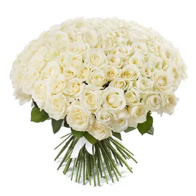 199 белых роз в шляпной коробке - купить белые розы в коробке с доставкой