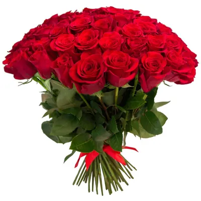 Купить Большой букет роз Ереван | UFL