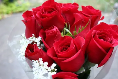 Розы купить в Москве: заказать букет роз с доставкой - цена от 1750 ₽