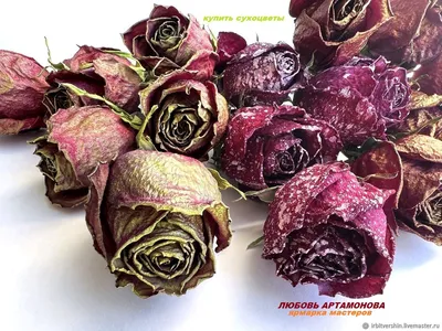 Купить букет с французскими розами и хризантемами \"Взаимная любовь\" в  Новокузнецке с доставкой