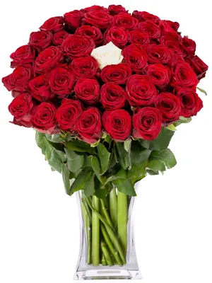 Купить Букет цветов,,Страсть и любовь в Москве недорого с доставкой