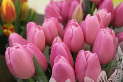 Купить букет цветов из тюльпанов и гиацинтов на 8 марта в Благовещенске