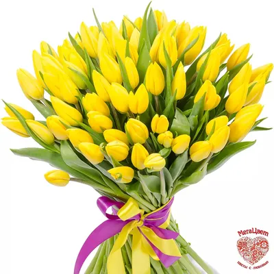 Фон поздравление 8 марта Marth, фон с тюльпанами, букет тюльпанов |  Beautiful flowers photos, Beautiful flowers, Cool instagram pictures