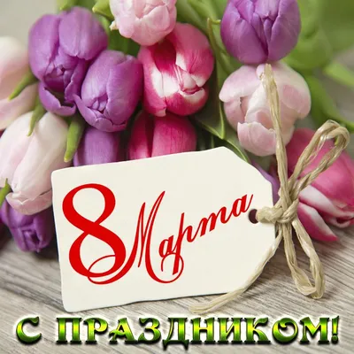 Тюльпаны к 8 МАРТА г.Минск