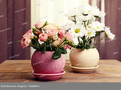 Красивые цветы в горшках на фоне ткани :: Стоковая фотография :: Pixel-Shot  Studio