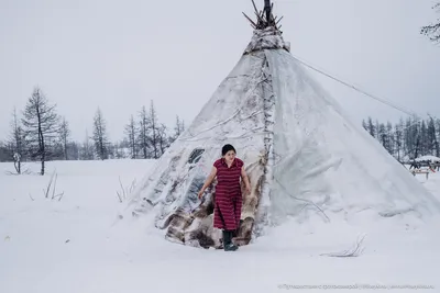 В БЕЛОМ СВЕТЕ ДНЯ И НОЧИ Ночь тундра зима. Борис Великов  yamal.photosight.ru | Галерея Фото Православного Форума Апостола Андрея  Первозванного