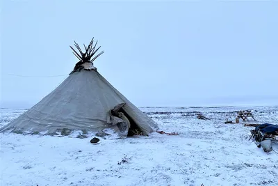 Кандалакшские тундры или как мы за Зимой в январе ходили.