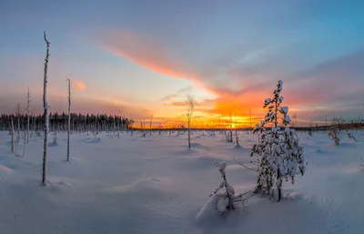 What is snow? Why is it white? How does it form? In tundra, in town. In a  choum | Polar Stories - YouTube