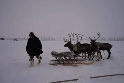 Экскурсия «Ловозерские тундры» (лето)