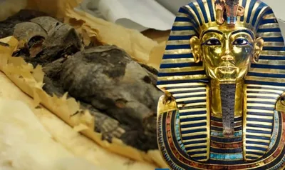 Фамильное древо Тутанхамона • Новости • Древний Египет