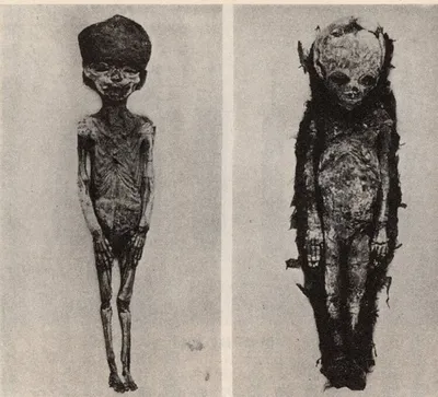 Ученые нашли внеземной элемент в кулоне Тутанхамона | РБК Life