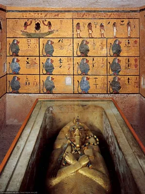Музей Тутанхамона и Исторический музей с гидом-историком 🧭 цена экскурсии  €60, 5 отзывов, расписание экскурсий в Шарм-эль-Шейхе