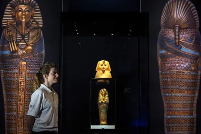 Чёткий срез древнеегипетской жизни»: почему гробница Тутанхамона стала  одним из крупнейших археологических открытий — РТ на русском