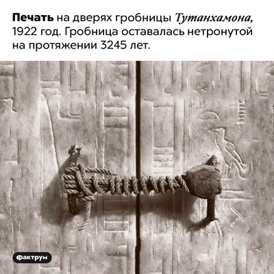 Египетский музей впервые за долгие годы передает маску Тутанхамона на  реставрацию - Наука - ТАСС