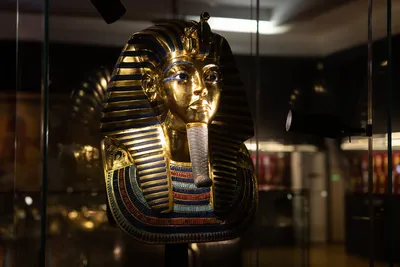 Ученые выдвинули новую версию гибели Тутанхамона: пьяным попал в ДТП - МЕТА