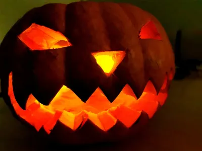 Векторный рисунок Pumpkin Изолированный контур тыквы хэллоуин Иллюстрация  ручного рисования урожая нарисовать тыкву с листьями Сч Иллюстрация штока -  иллюстрации насчитывающей здорово, скручиваемость: 159057911