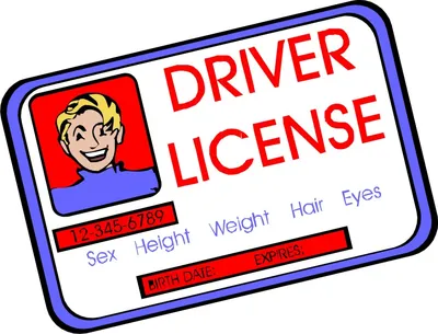Небольшой тест, после которого вам могут отказать в выдаче водительских прав