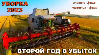 В Мартыновском районе идет к завершению уборка урожая-2022 | Мартыновский  вестник