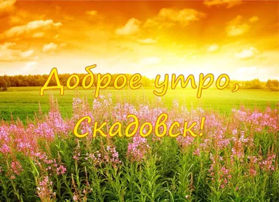 Удачи в новом году | Пикабу