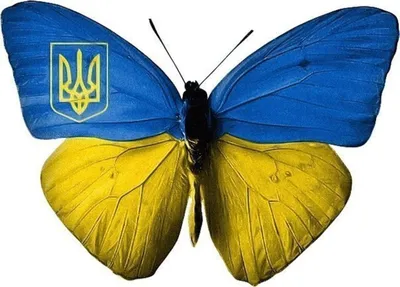 Картинки украинской символики фотографии