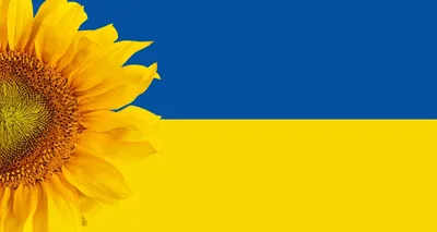 Свобода носит желто-голубые одежды: в США выпустили монеты с украинской  символикой - ForumDaily