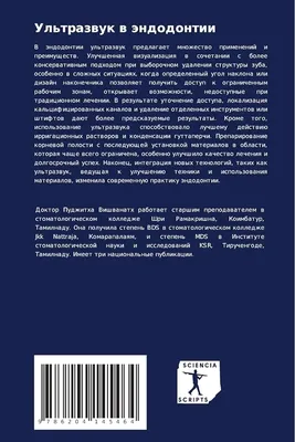 Ученые намерены чаще использовать ультразвук при лечении ран - новости  компании «МедГир»