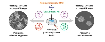 Аппарат ультразвуковой терапии IBRAMED SONOPULSE COMPACT 1 МГц: купить по  доступным ценам в «НВ-Мед»