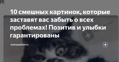 10 веселых картинок, чтобы поднять настроение: позитив и улыбка в одной  статье | Хороший вкус | Дзен