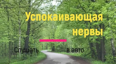 Успокаивающая нервы музыка. Рекомендовано слушать в авто.