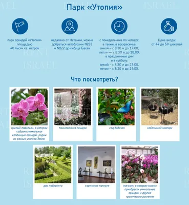 Ультра отель Утопия Ворлд (Utopia World Hotel) 5 звезд, все включено,  фотографии, отзывы, бронирование и цены, купить туры в Аланию (Турция) на  сайте турагентства Coral Travel