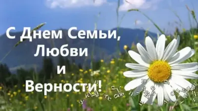 День семьи, любви и верности : Новости Гатчинского района